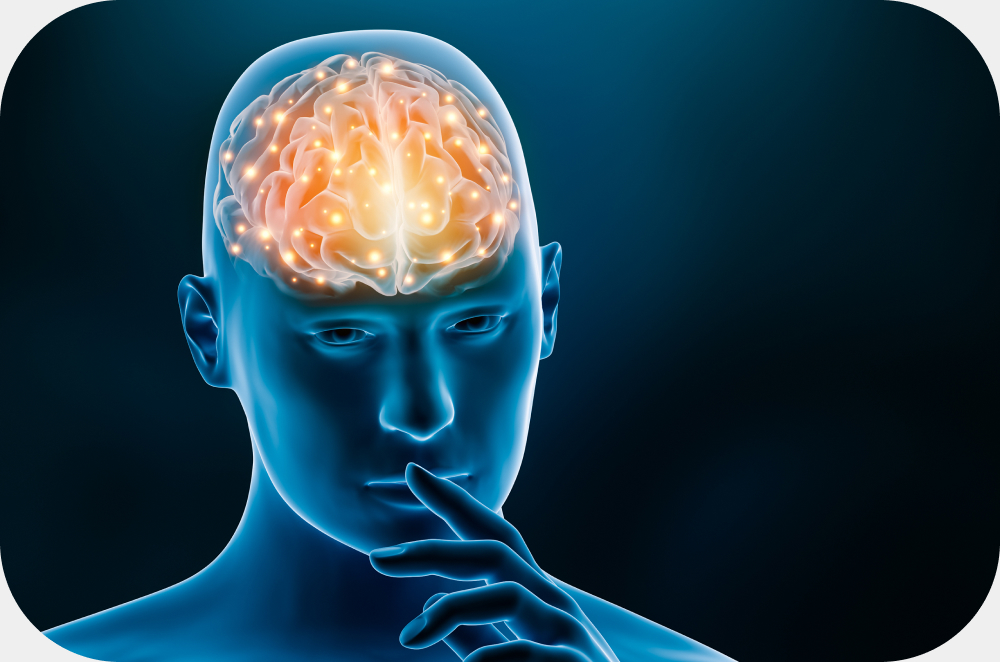 A estimulação cerebral pelo Artepillin-C